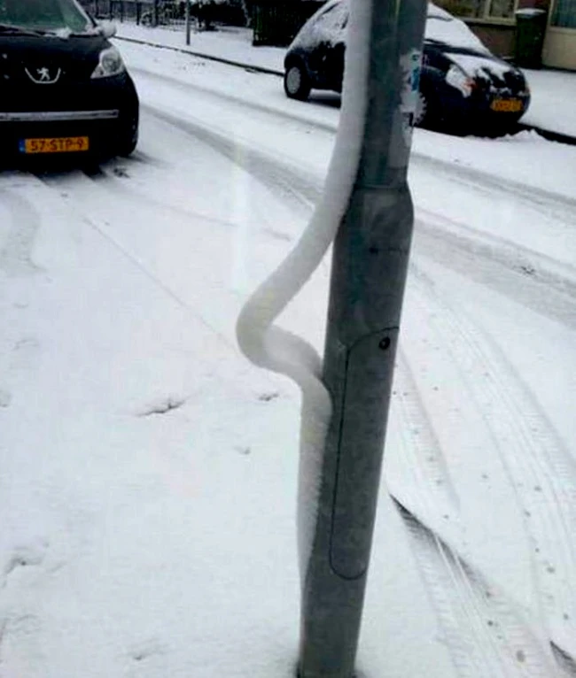 Những bức ảnh phá vỡ nguyên tắc vật lý thú vị ảnh 17