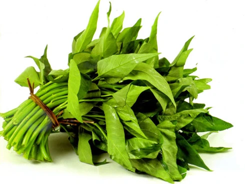 Chuyên gia hướng dẫn chọn rau, củ, quả an toàn ảnh 4