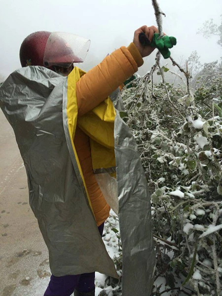 Tuyết phủ trắng ở Nghệ An như... châu Âu ảnh 5