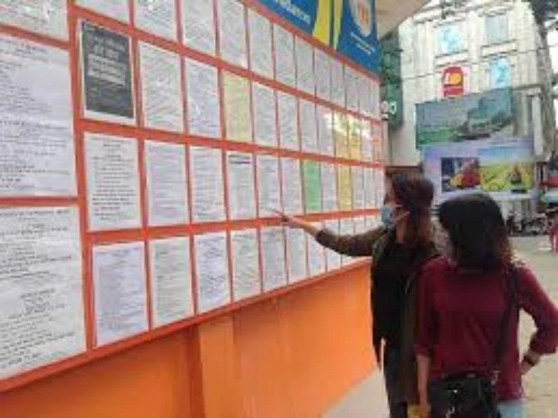 Nghề mới dịp Tết: Lái xe Vespa chở khách dạo phố ảnh 1