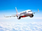  Va vào chim, chuyến bay Jetstar Pacific bị trễ 6 tiếng
