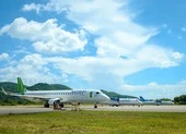 Máy bay của Bamboo Airways va phải chim, 8 chuyến bay bị hủy
