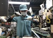 5 doanh nghiệp Việt bị ngừng đưa thực tập sinh sang Nhật