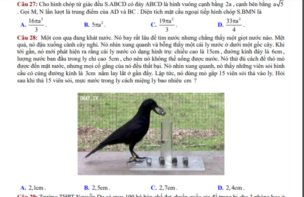 Thú vị chuyện 'Con quạ thông minh' vào đề thi toán ảnh 1