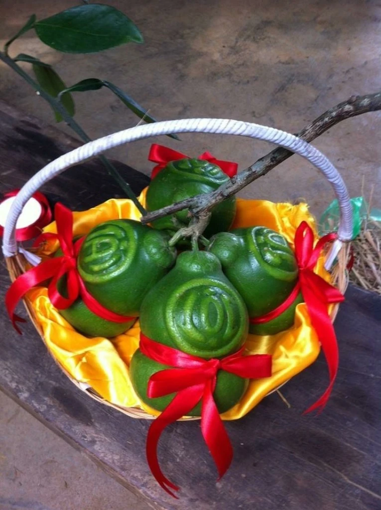 Bưởi hồ lô và được khắc chữ "tài, lộc" 