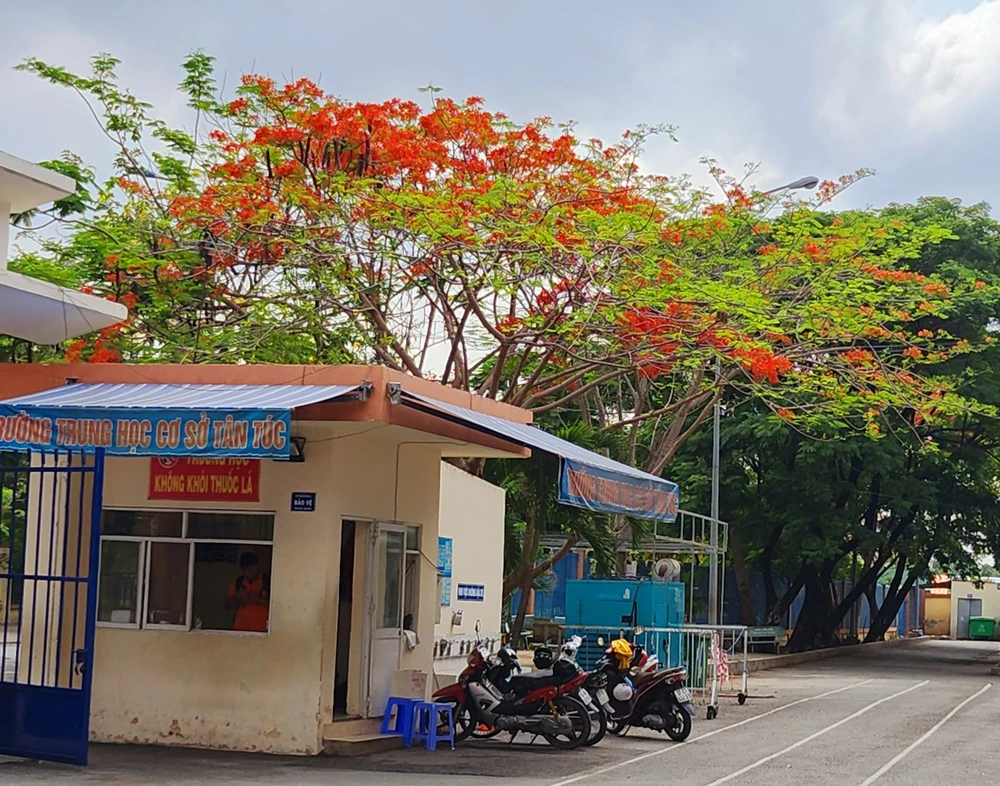 Hoa phượng đỏ rực tạo điểm nhấn cho ngôi trường.