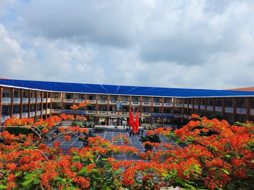 Phượng nở đỏ rực một góc trời, báo hiệu mùa hè, mùa thi đồng nghĩa mùa chia li.