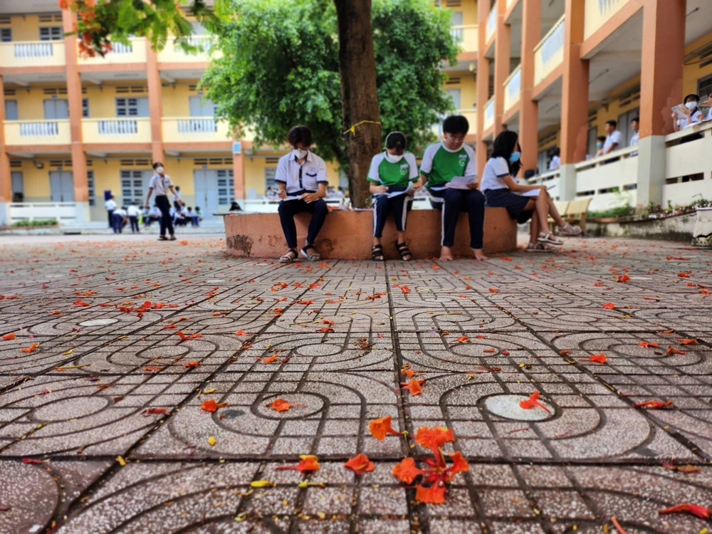 Cô cậu học trò ngồi dưới gốc phượng ôn bài. Cánh phượng mỏng manh, bay theo gió, vương vãi khắp mặt sân.