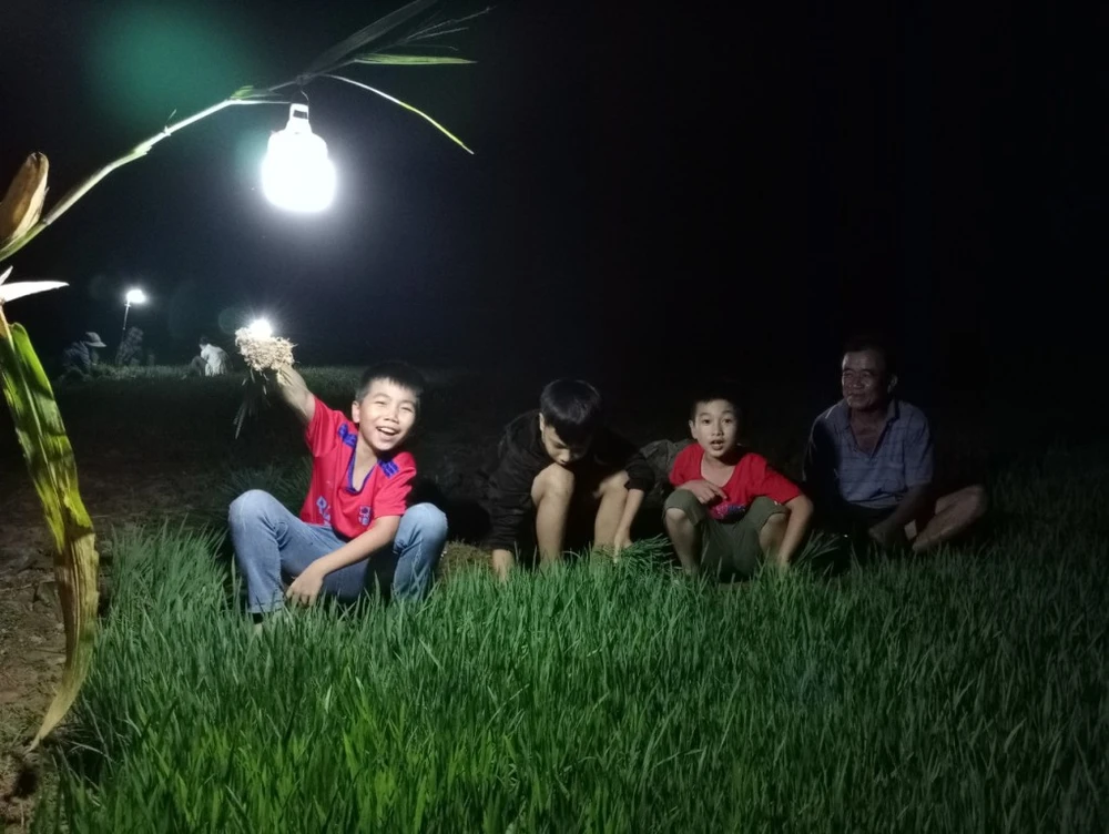 Những ngày này, các địa phương tại Nghệ An đang cắt điện luân phiên, mỗi ngày từ 5 đến 10 tiếng. Do nhà bị mất điện nên các bé cũng hăng hái theo bố mẹ ra đồng làm việc.