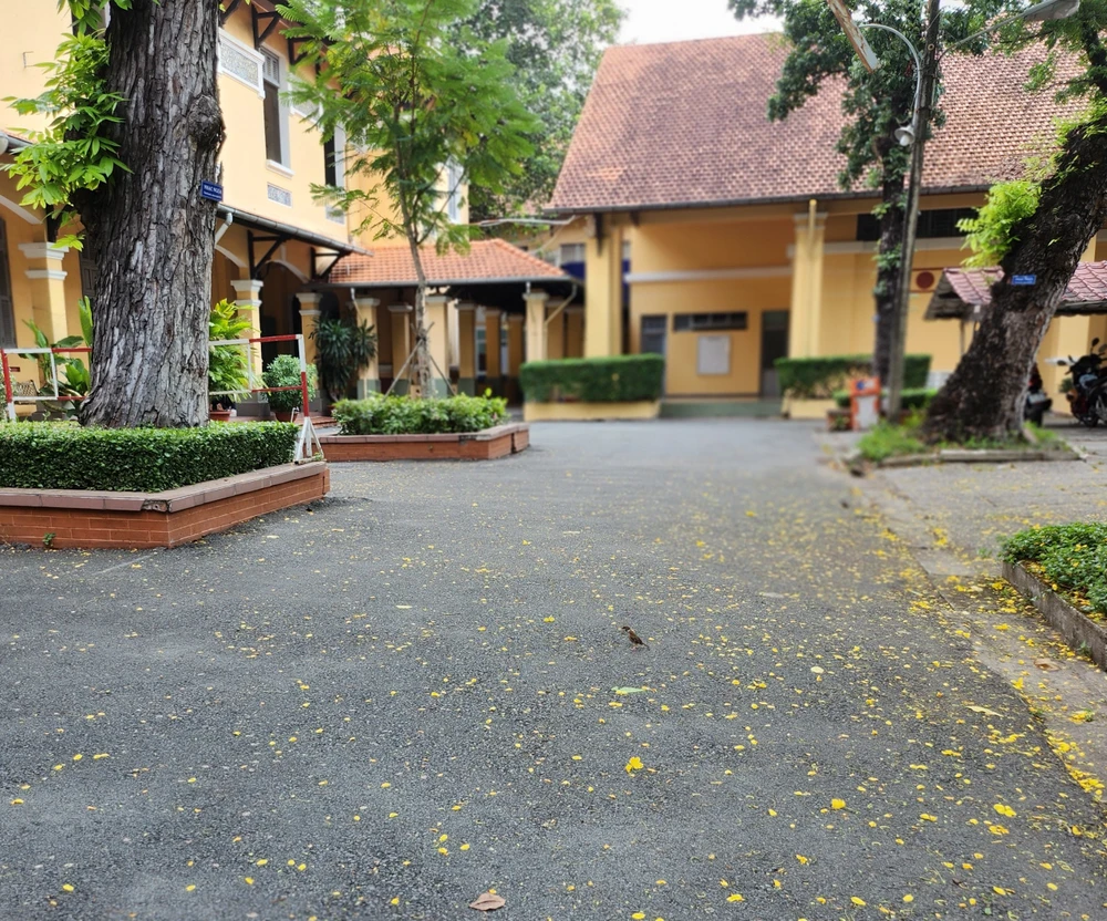 Hoa điệp vàng rơi lả tả, những chú chim hót líu lo. Cảnh tượng chỉ có tại ngôi trường Minh Khai. Điều này cũng khiến cô cậu học trò xao xuyến trước khi xa trường.