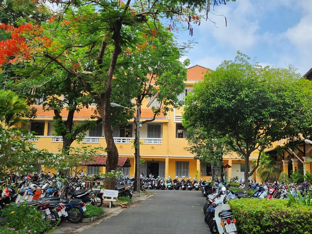 Cây phượng nở đỏ rực báo hiệu mùa thi, mùa chia tay.