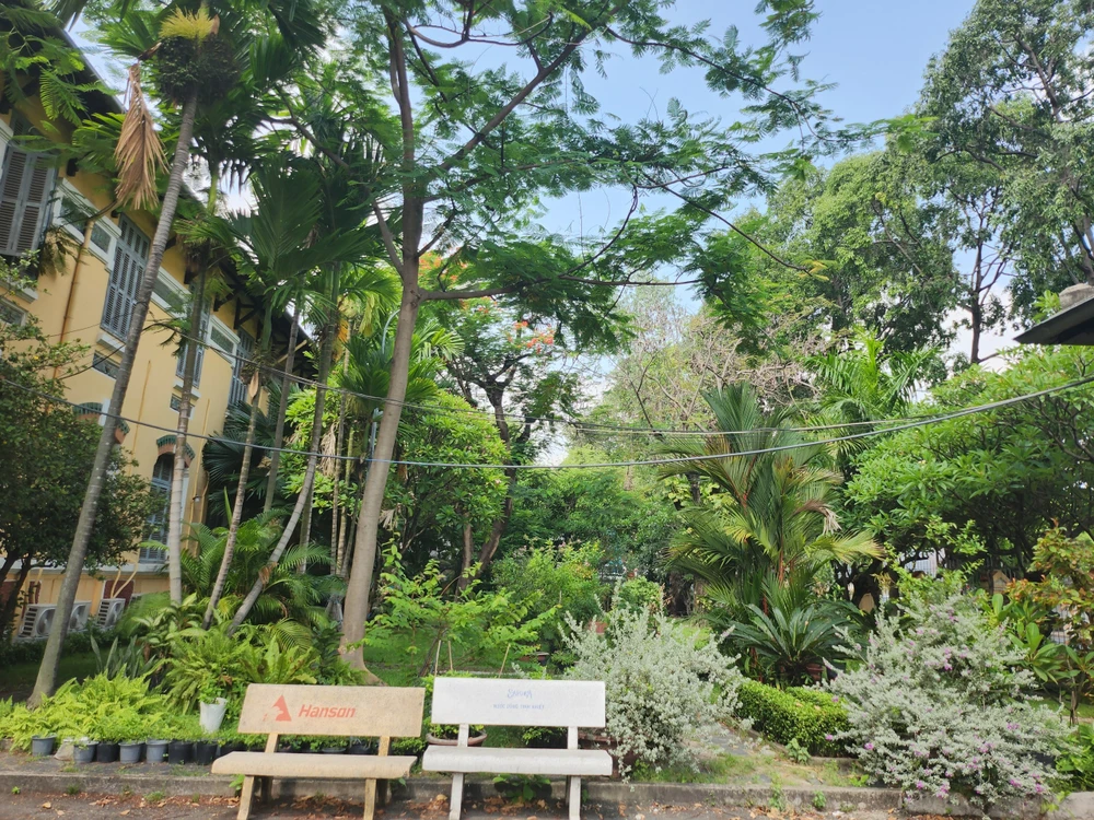 Đến trường Minh Khai là một màu xanh bạt ngàn từ ngoài vào trong. Cây xanh được trồng tại khu vực xung quanh trường, giữa 2 công trường, trong sân trường, khu vực hồ bơi và sân banh.