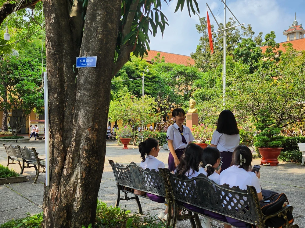 Công tác chăm sóc cây xanh được nhà trường đặt lên hàng đầu. Việc kiểm tra được diễn ra thường xuyên.