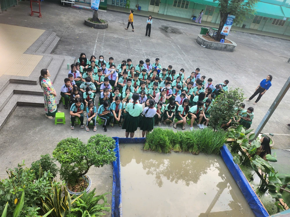 cấy lúa giữa sân trường