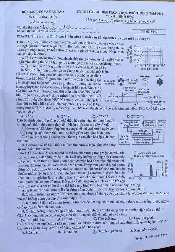 5d539f34f5f674a82de7.jpg