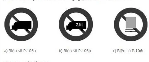 Hình ảnh cụ thể các loại biển cấm P.106.