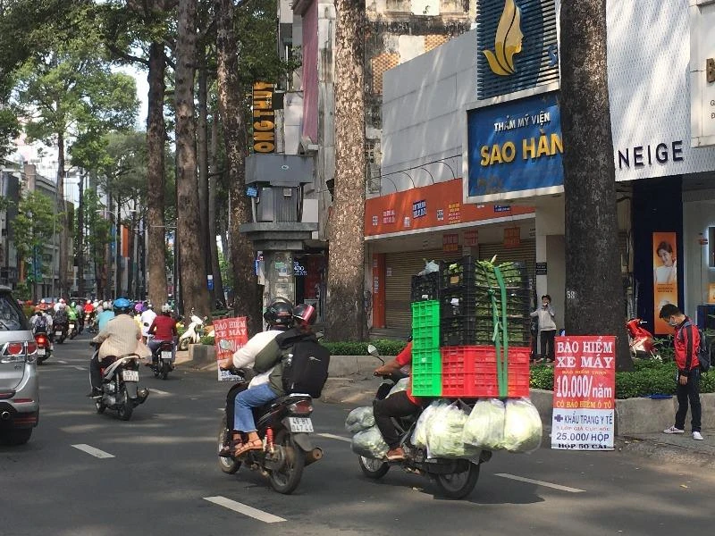 bao hiem o to xe may