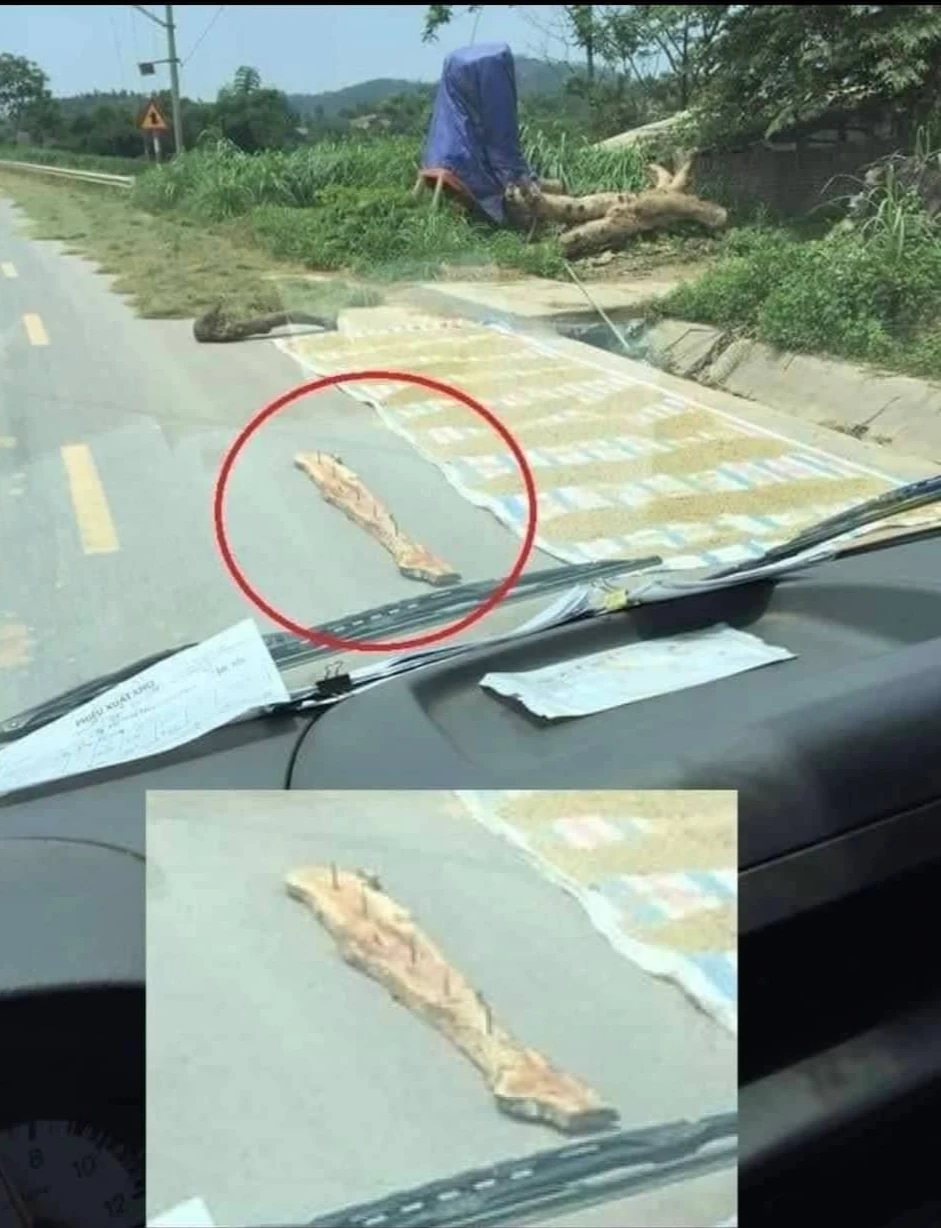 Những hình ảnh phơi lúa trên đường kèm tấm gỗ gắn đinh sắt rất nguy hiểm. Ảnh: MXH