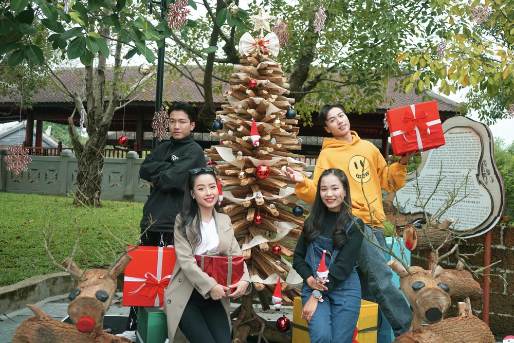 Cây thông độc đáo tại Nam Hội An.
