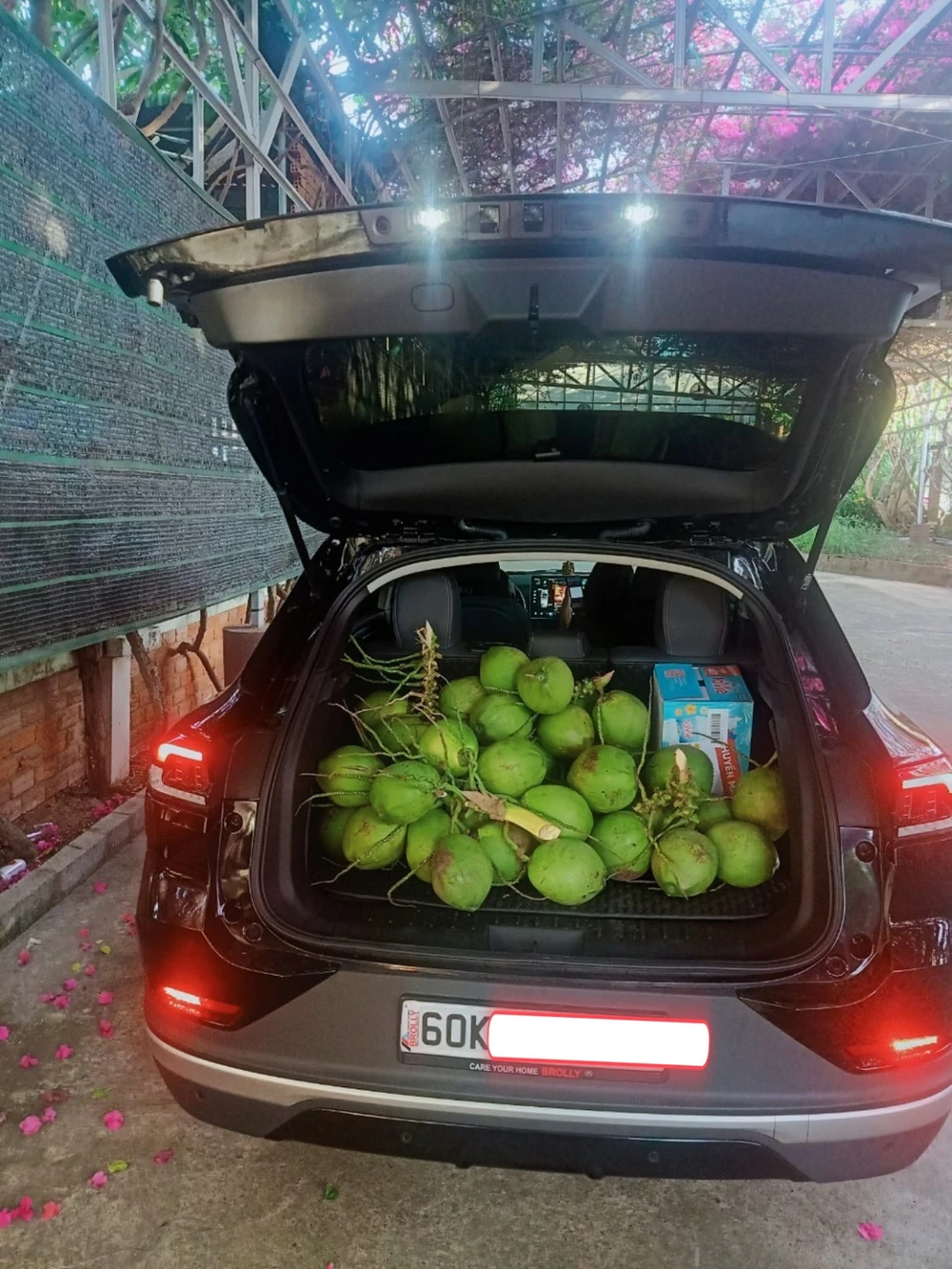 Chiếc VF 8 trở thành bạn đồng hành của anh Trung trong các chuyến thiện nguyện. (Ảnh: Cộng đồng VinFast toàn cầu)