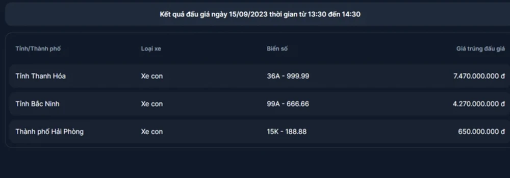 bien-so-dep-da-duoc-dau-gia