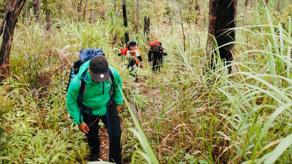Vườn Quốc gia Bidoup - Núi Bà.
