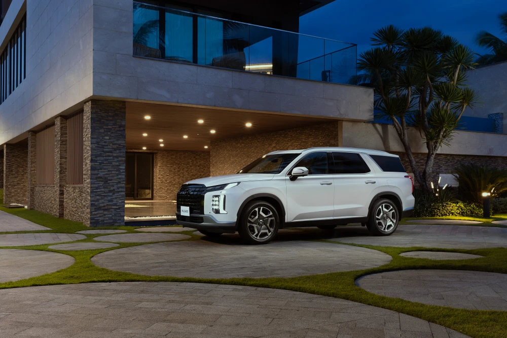 Hyundai Palisade - 2.jpg