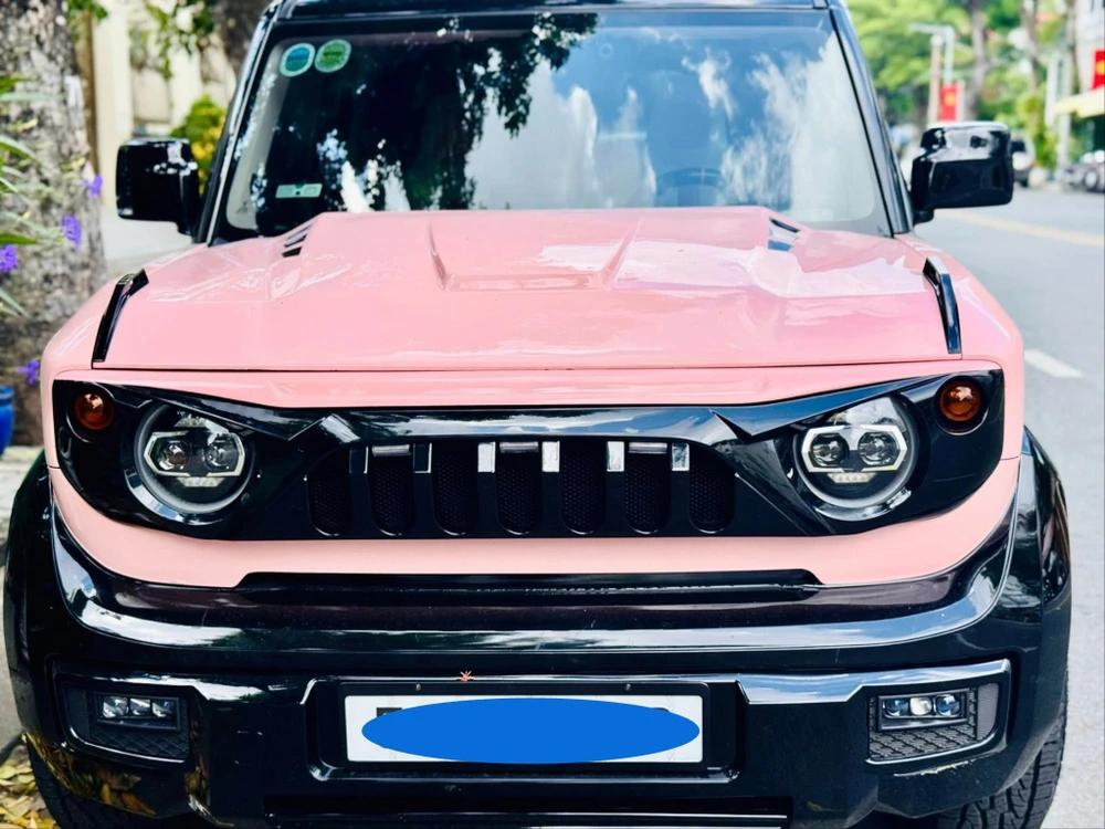 xe điện khó cháy