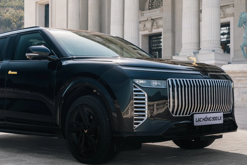 Lac Hong 900 LX 7.jpeg