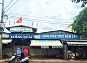 Tạm đóng cửa chợ hoa Đầm Sen, người trồng hoa lo thiệt hại 100 tỷ đồng