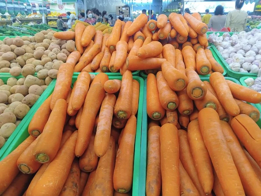 Trong số này có củ cà rốt trọng lượng hơn nửa kí. ẢNH: TÚ UYÊN