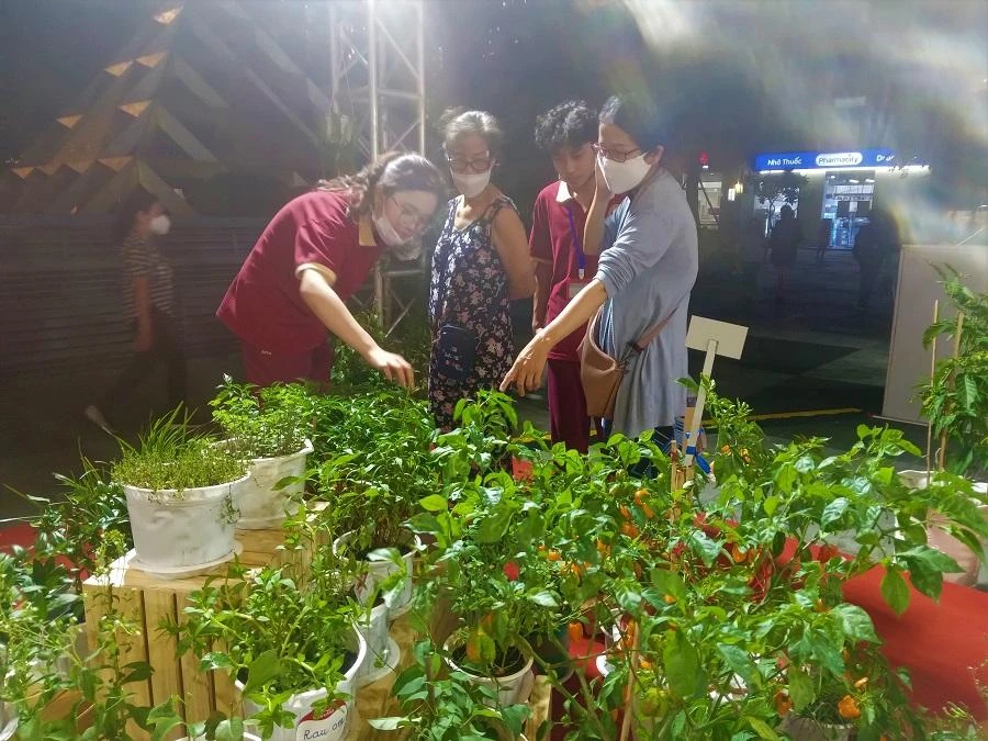 Khu vực ngôi nhà cung trưng bày các loại cây gia vị thu hút nhiều người tìm hiểu. ẢNH: TÚ UYÊN