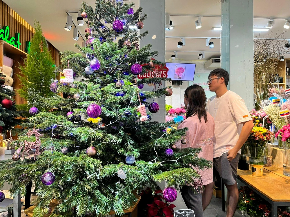 Khách hàng đang hỏi giá cây thông tươi nhập khẩu Đan Mạch tại cửa hàng Dalat Hasfarm. Ảnh: TU.