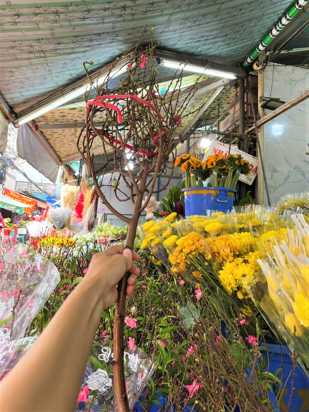 Tùy dáng cành chiều cao, cành đào này giá 250.000 đồng