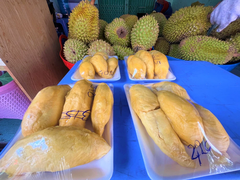 Sầu riêng giống Malaysia được bán giá 615.000 đồng/phần chỉ khoảng ba múi. ẢNH: TÚ UYÊN