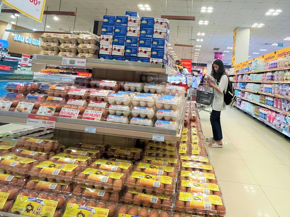 Hiện có 24 doanh nghiệp muốn tham gia chương trình kích cầu đầu tư lĩnh vực công nghiệp hỗ trợ. Ảnh: TÚ UYÊN