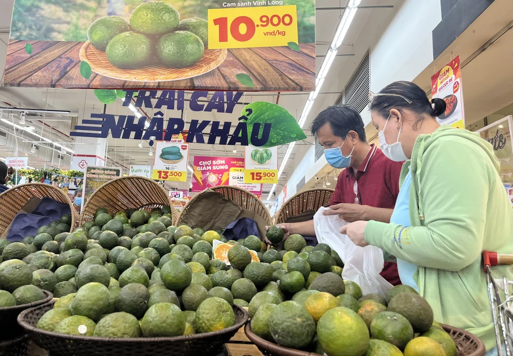 Tháng 2-2023 siêu thị đồng hành người trồng cam sành Vĩnh Long khi thị trường rớt giá.Ảnh: TÚ UYÊN