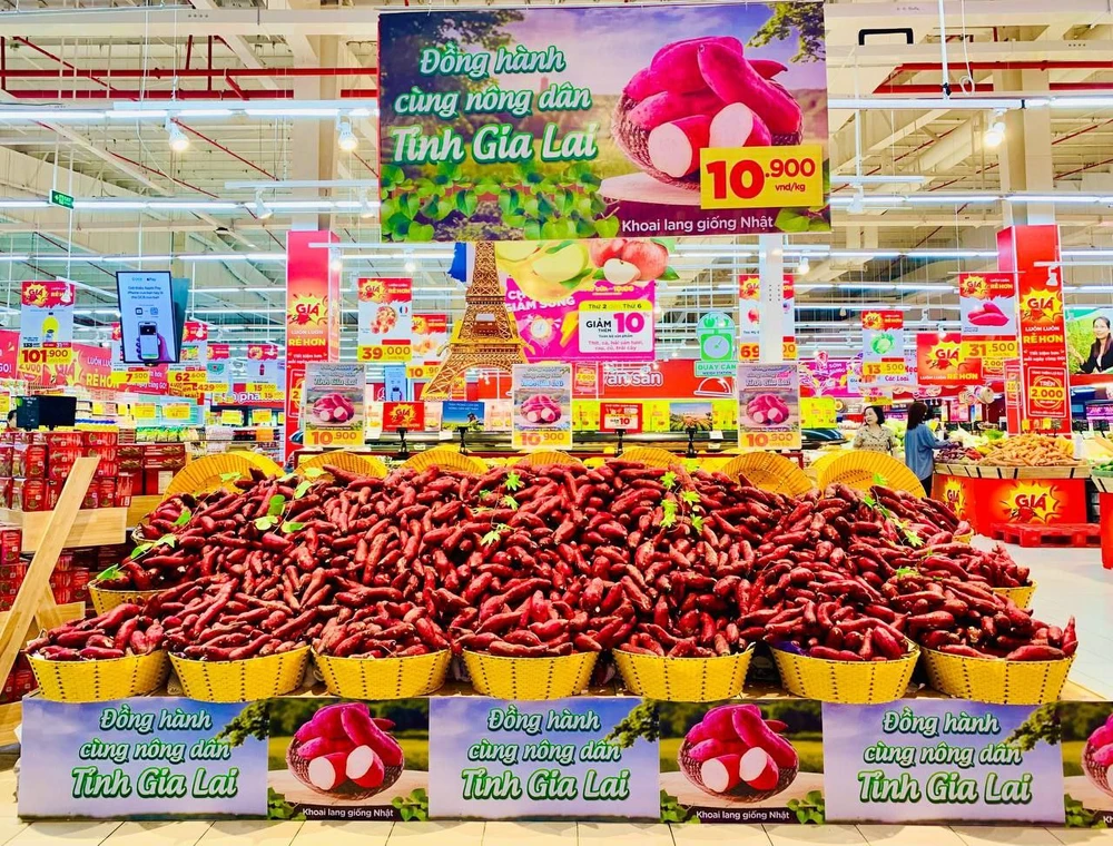 Khoai lang chính vụ ở Tây Nguyên đang giảm giá mạnh, siêu thị bán hàng không lợi nhuận. Ảnh: T.TÂN