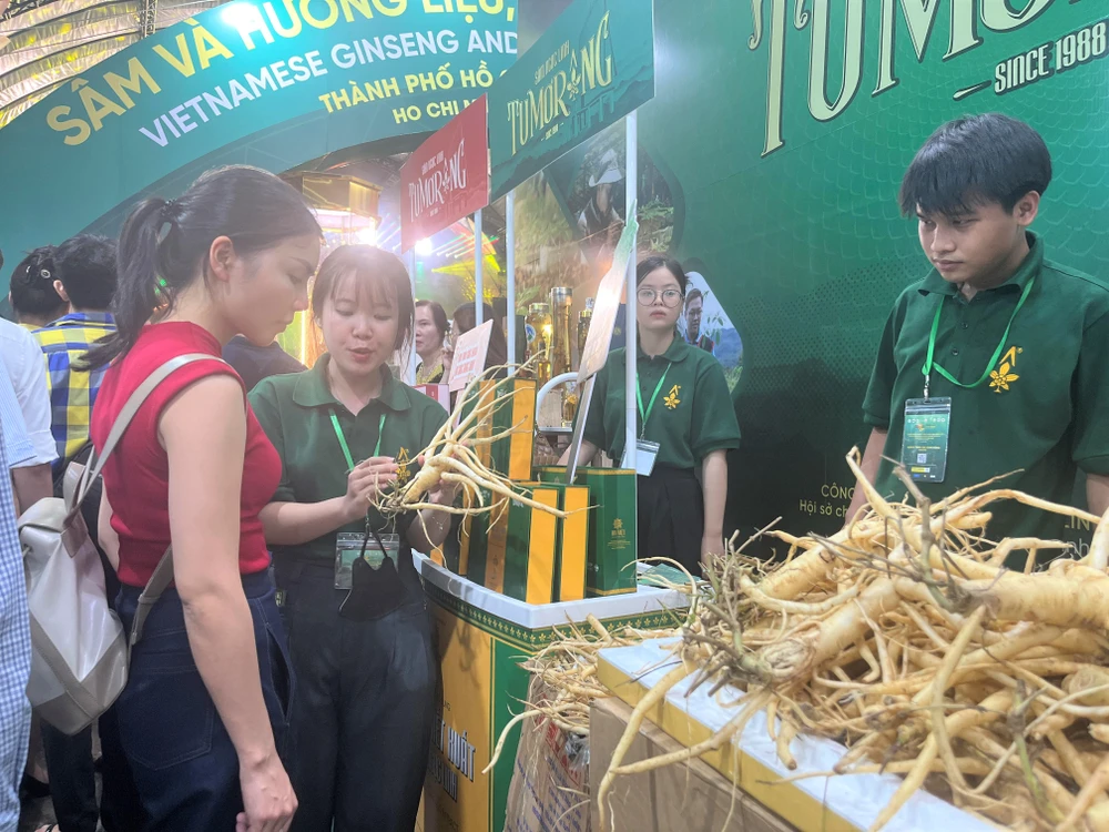 sâm Ngọc Linh 10.jpg