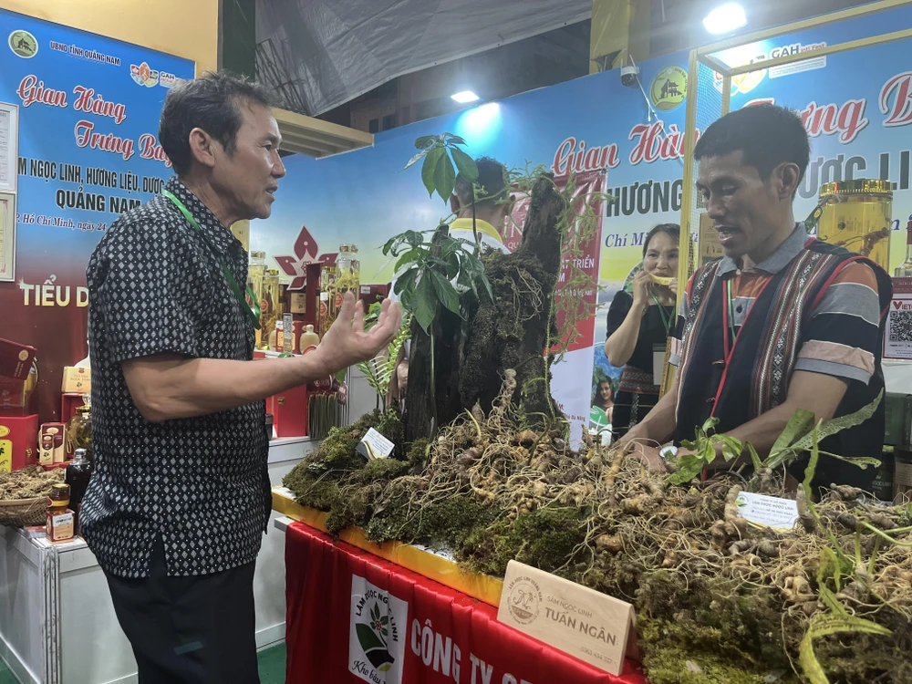 sâm Ngọc Linh (3).jpg