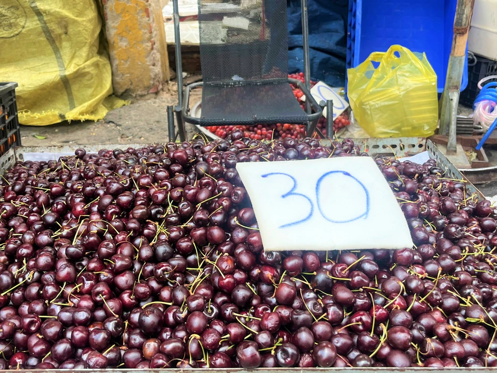 cherry Chile giá rẻ