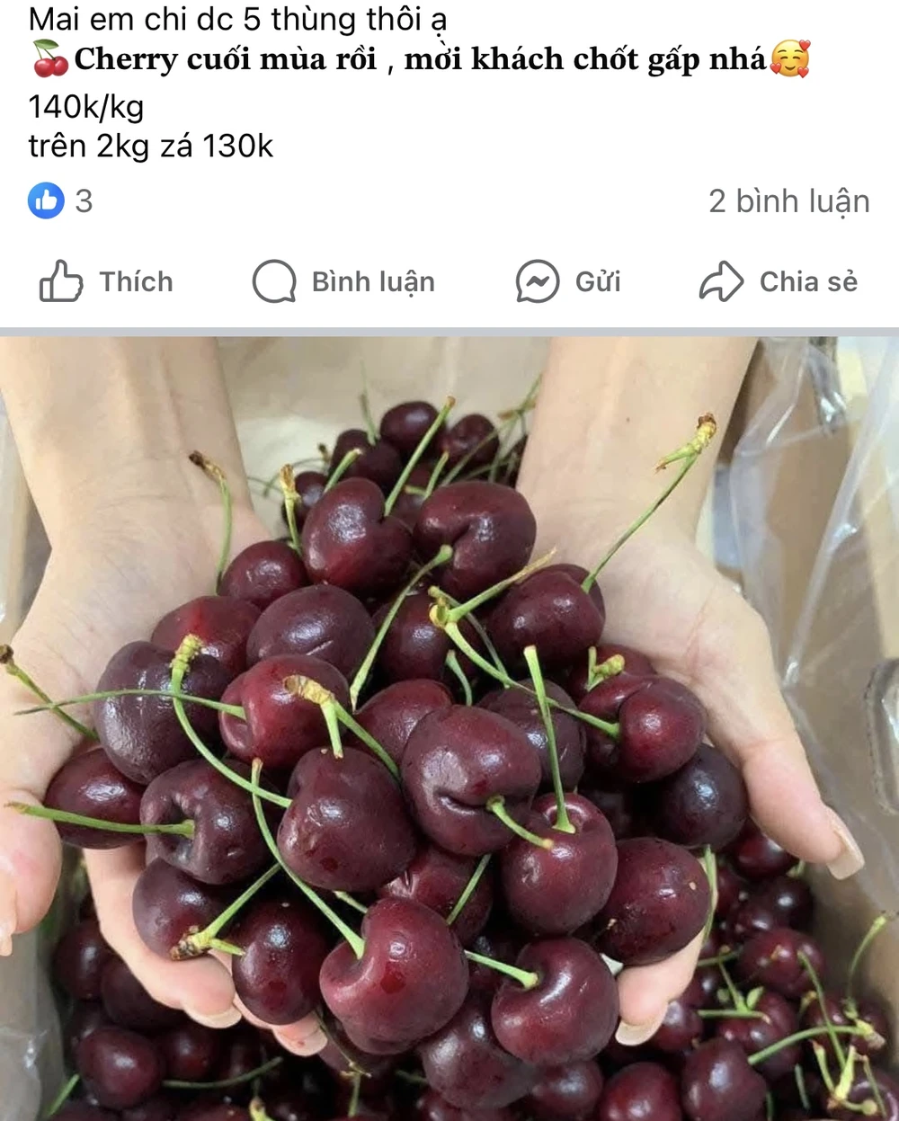 cherry Chile giá rẻ