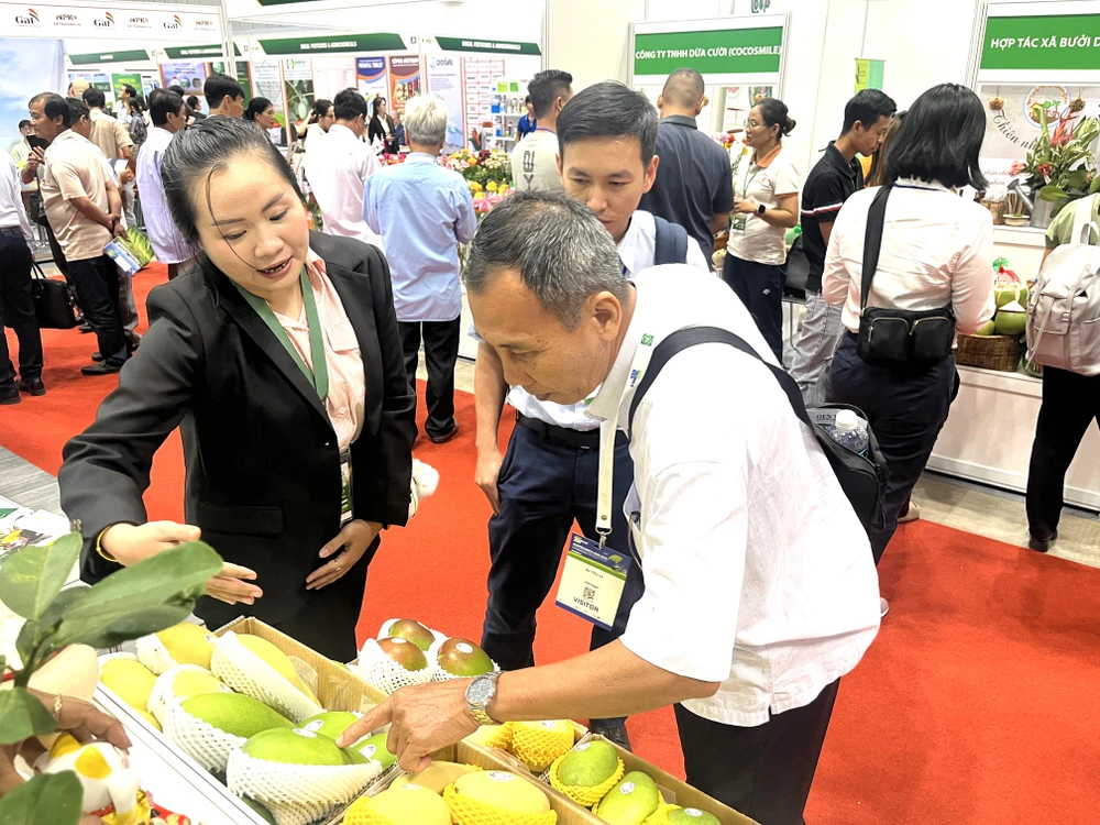 trái cây và rau quả 2.JPG