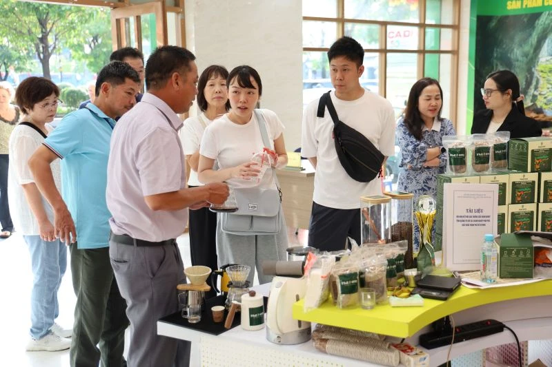 đặc sản tỉnh Quảng Trị .JPG