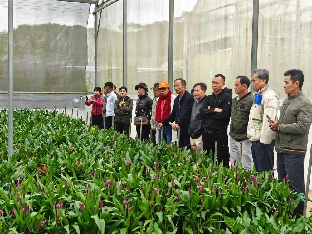 tỉnh Lâm Đồng 2.jpg