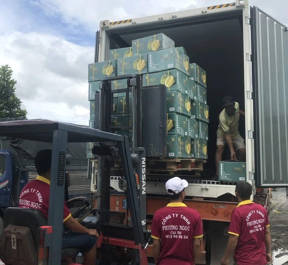 sầu riêng Việt Nam.jpg