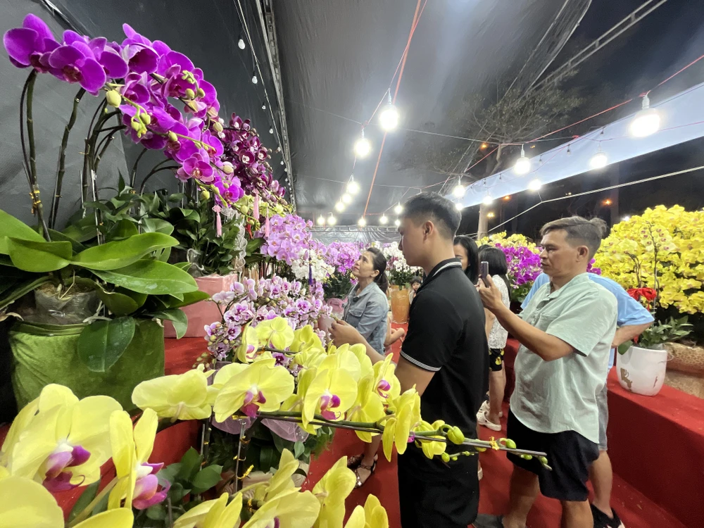 cúc mâm xôi Hàn Quốc 2.JPG