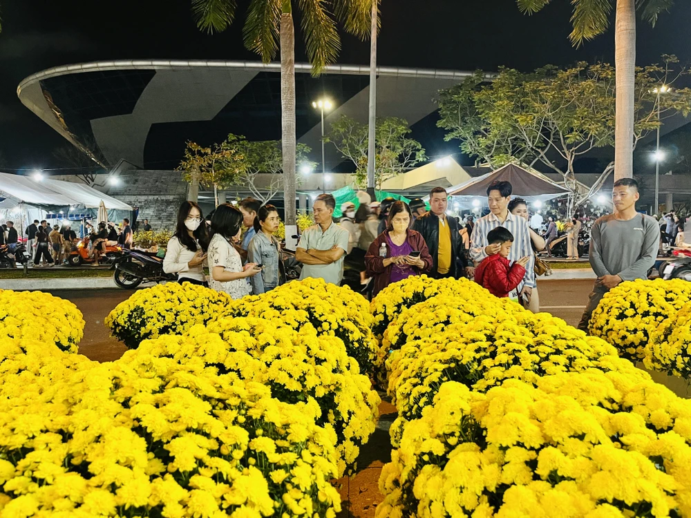 cúc mâm xôi Hàn Quốc.jpg