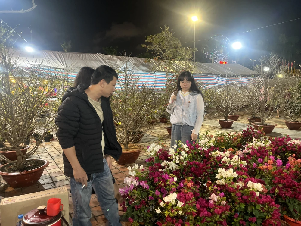 cúc mâm xôi Hàn Quốc 5.JPG