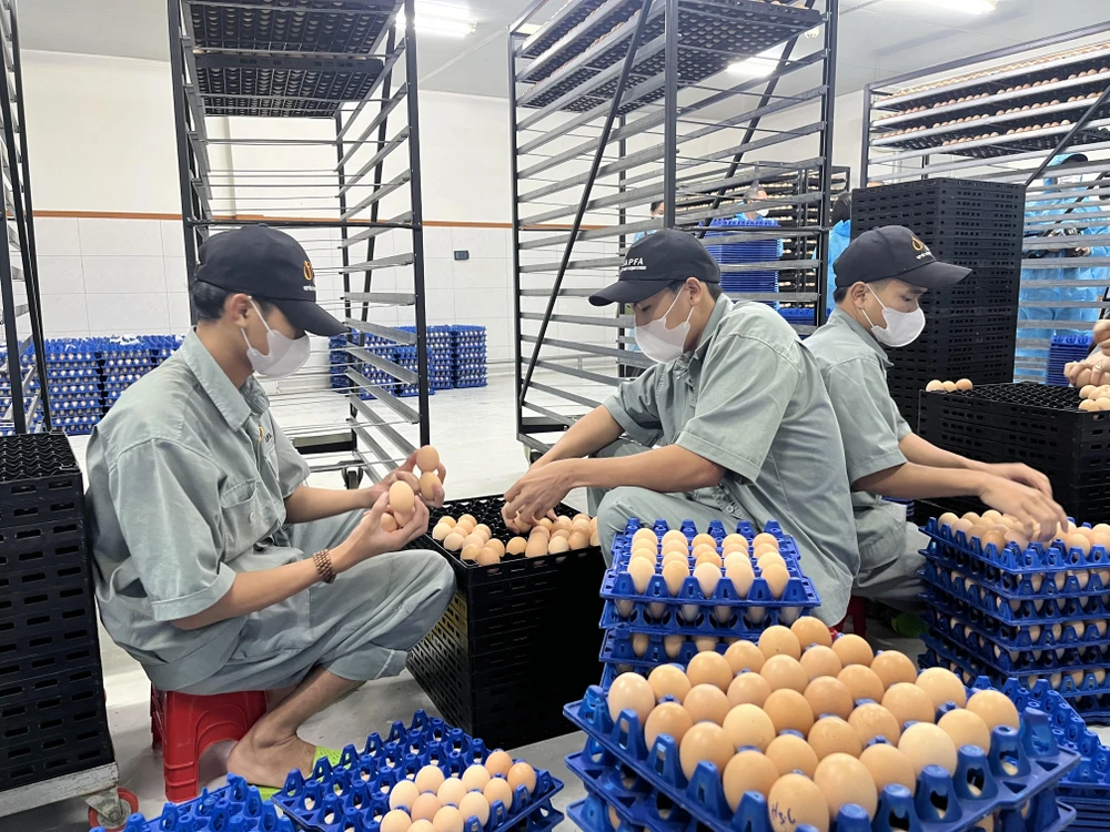 người chăn nuôi 1.jpg